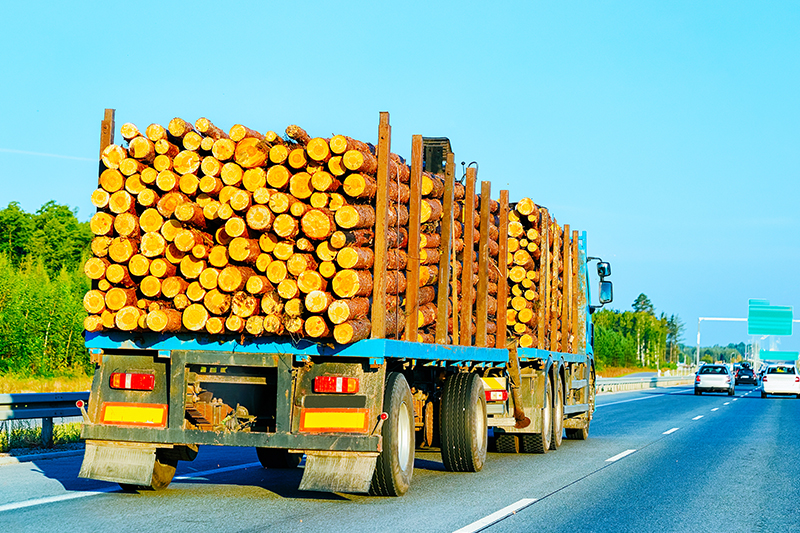 Timber